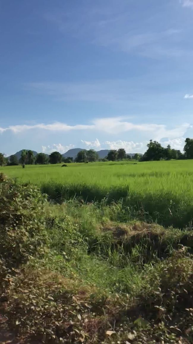 夕方のイベント、コウモリタイムまでかなりあったので、12㎞先のワットバナン目指して移動してみる。