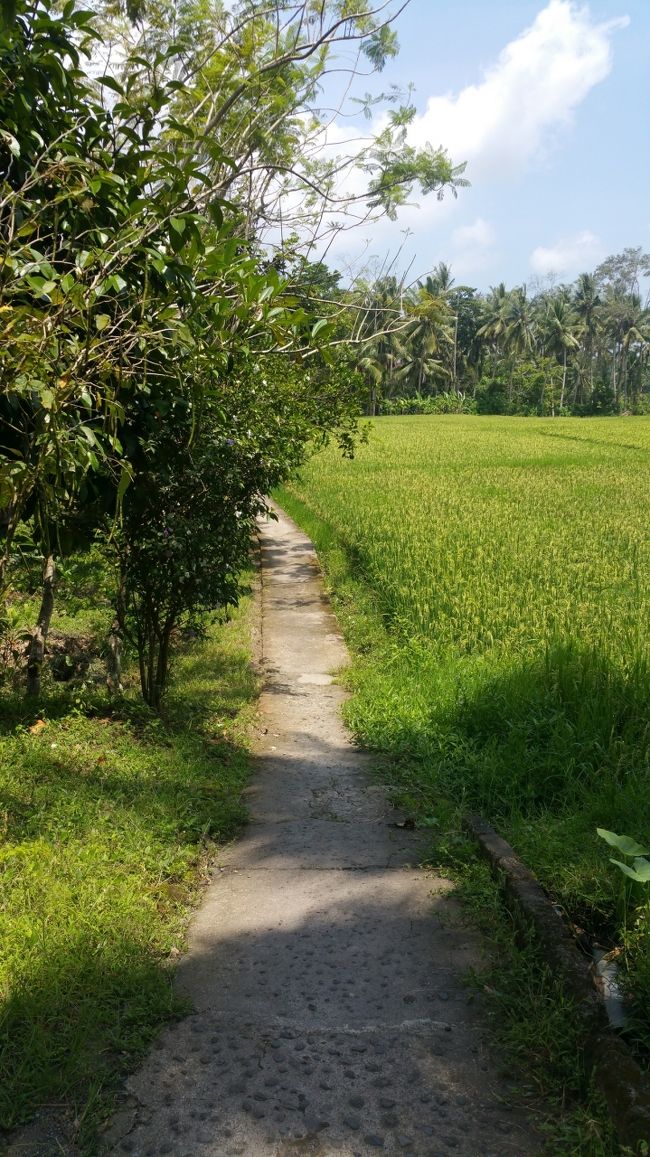 営業開始時間になったから工房に戻ってみると、さっき寝たフリしてたスタッフも起きてて、もう大丈夫??って聞いたらOKって言われたから、販売してる2階へあがりました。<br /><br />午前中に来た方が品数が揃ってるらしくて、目当ての石鹸はないかな??と心配したけど、どうやらあったみたいｗｗｗ<br /><br />販売スタッフもニコッともせず伝票を黙々と書いて計算して袋に入れてハイ終了。<br /><br />あんまり気持ちのいい買い物じゃないけど、とても品質の良い石鹸が買えたから、まっいいか( ´•౪•`)