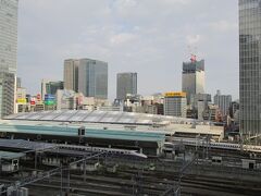 前回、主人と東京に来た時には、台風の影響で、この庭園はクローズしていましたので、ここから東京駅を眺めるのは初めてでした。

のんびりできて、静かで良い場所でした。
新幹線色々見えました。