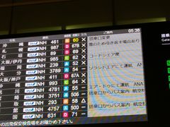 飛行機での移動