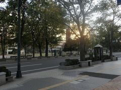 6:50  朝食前に大通公園に来ました。