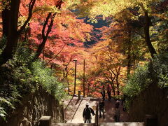 紅葉を眺めました。