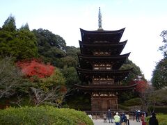 国宝となっている、瑠璃光寺五重塔。

１４４２年建造の、日本で１０番目に古い五重塔だそうです。
美しさは日本三名塔の一つに数えられているとか。