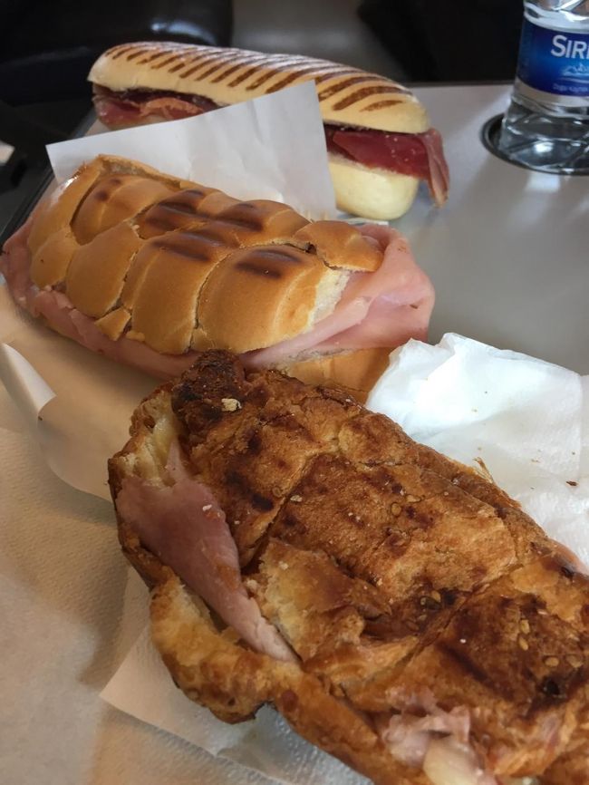 電車に乗る前に買っておいた、昼食を車内で食べる