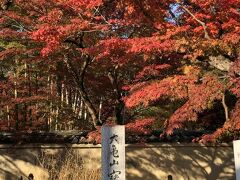 ９時過ぎに、天龍寺の塔頭・宝蔵院へ。