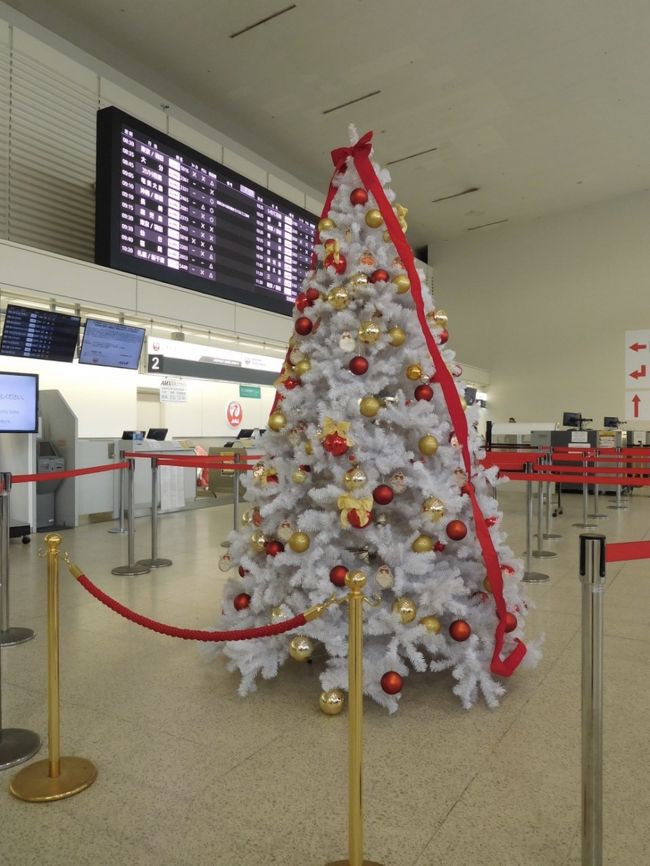 ２０１８ 年パス日記 その３２ ディズニークリスマス満喫大作戦 ダイナミックパッケージのオプションも駆使します 東京ディズニーリゾート 千葉県 の旅行記 ブログ By りぽちゃんさん フォートラベル