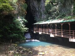 大阪から新幹線で約2時間、
新山口から今回の旅は始まります。
レンタカーを借りて、まずは秋芳洞へ向かいます！
真夏でしたので半袖でしたが、洞窟内は寒いよと
忠告を受けカーディガンを羽織ることに。