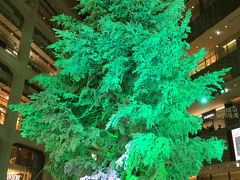 群馬県妻恋村の高さ14.5mの本物のモミの木を使った大きなクリスマスツリー。
1階のアトリウムが華やかになります。