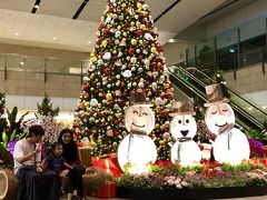 ２４時頃、無事シンガポール到着。

もうクリスマス・バージョンでしょうか。