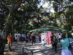 鹿児島市内について、まず城山公園へ。