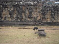 ライ王のテラス