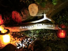 頂上に着くとサムエル・コッキング苑の前に長～い行列！
キャンドルイベントは17時からでしたが、まさか入園するのにこんなに並ぶの～とびびっていたら、入園チケット購入のための行列でした。

クッシーたちはエスカーのチケットを買う時に入園料もセットになったものを購入したので、すぐに入れました。
このイベント、毎年やっているので、来年行かれる方はぜひセット券購入をお勧めします。