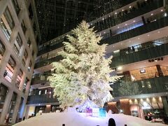 東京駅直結の「KITTE」は白がイメージの冬らしいクリスマスツリー。
シンプルなのに温かみを感じました。
