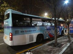 空港からは大韓航空のリムジンバスでロッテワールドへ。（所要約1時間）
このバス一昔前のビジネスクラスのシートの様な大きなシートで快適でした。