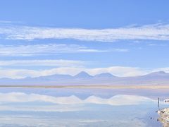 【アタカマ塩湖のチャクサ湖-Laguna Chaxa-】

..........「塩湖や干潟に生息」する.......他の鳥が寄り付かない、塩湖やアルカリ性の湖といった特殊な環境に適応できるのが、フラミンゴ.......