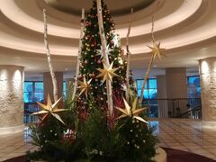 12/1(土)ホテルロビーにはクリスマスツリーが出現！
12月にも関わらず、石垣は最高気温28℃！