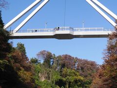 「高津戸峡から見上げたはねたき橋」
