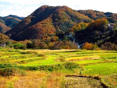 次の9番札所・明智寺までは遠く2km離れています。この日は自分の足を使って移動がほとんどなので、巡礼の旅をしているという実感が湧きました。途中の寺坂棚田からは紅葉した秩父の山々を見られました。きれいな武甲山も眺めることができる秩父の隠れた絶景スポットです。