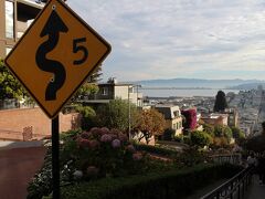 ８：４０
『Lombard Street』の坂の上からの景色
サンフランシスコを舞台にした映画やドラマには必ずといっていいほど登場する有名な坂です。