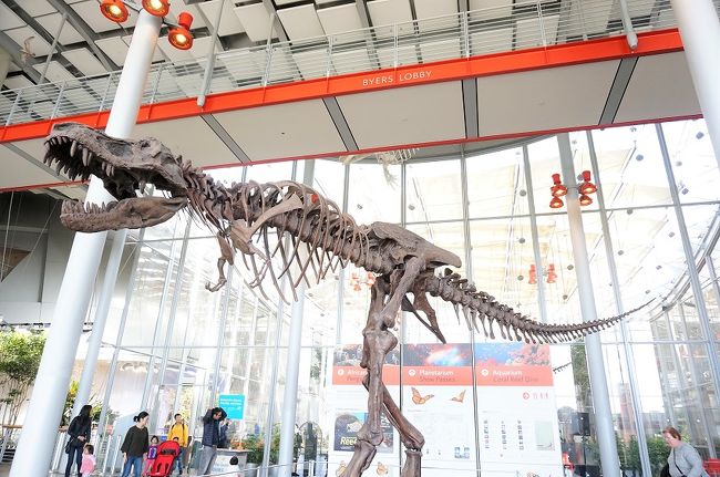 【特価】 2018 カリフォルニア科学アカデミーに行ってきたよ。その1 ピンズ・ピンバッジ・缶バッジ