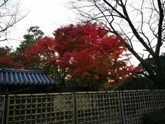 柵の向こうは好古園です。１回だけ入ったことがあるけど。