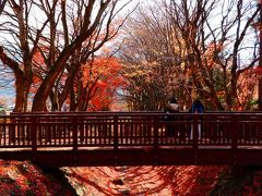 富士河口湖もみじ回廊