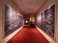 特別展示　「王希奇展－一九四六－」の入口