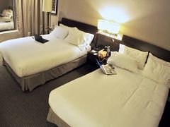 【サンチアゴ空港前のホリディインホテル】

残念ながら、Hotel.comで予約したところ、一階の裏側の部屋を充てがわれてしまいましたが、
