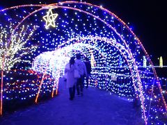 冬の風物詩です。