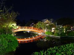 夜、暇なのでぶらぶらとお散歩
神泉苑でお庭がライトアップされていました