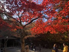 紅葉谷公園です。