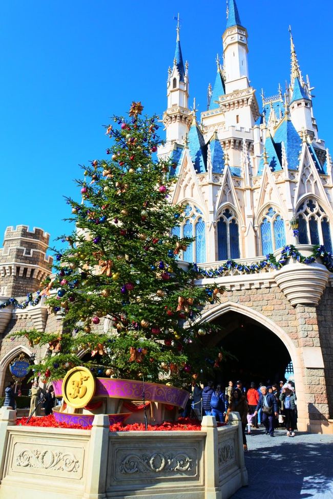 ディズニークリスマス １１時間待ちで大変だったミッキーを癒してあげ隊 前編 東京ディズニーリゾート 千葉県 の旅行記 ブログ By うまるちゃんさん フォートラベル