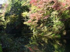 戻って中瀬遊歩道を歩きます
川面にも紅葉が映っていて綺麗