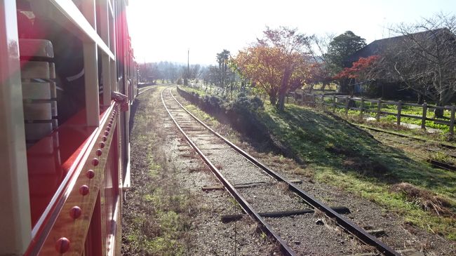トロッコ列車とボンネットバス 紅葉ハイキングin養老渓谷 養老渓谷 千葉県 の旅行記 ブログ By メイリンさん フォートラベル トロッコ列車とボンネットバス 紅葉ハイキングin養老渓谷 養老渓谷 千葉県 の旅行記 ブログ By メイリンさん フォートラベル
