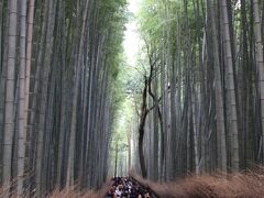 その後、嵯峨の竹林の小道を歩きましたが、人がとても多すぎで、まるで東京原宿の竹下通り状態。 
普段は静かな道なんでしょうけど。 