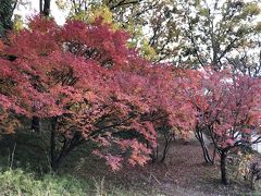 県立竜田公園