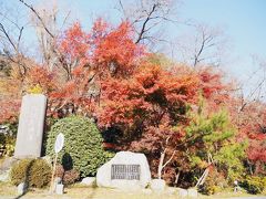 今日は長瀞を通って帰りまーす。

まずは秩父三社の最後の一社の”宝登山神社”へ。

おぉ、紅葉がお見事。