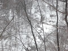 この吊り橋の先に旅館
 山水観湯川荘があります。