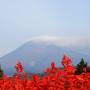 紅葉の足立美術館～出雲大社、温泉津