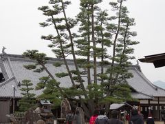 厳島神社出口すぐにある、伊藤博文が植えたという九本松がある大願寺。