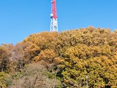 コリア庭園を出て来て、見上げると三ツ池タワー。
ここが一番近いようです。

そろそろ、帰ることとします。
南門に向かいましょう。