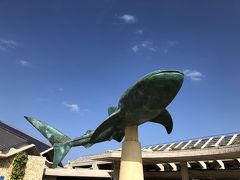 沖縄美ら海水族館