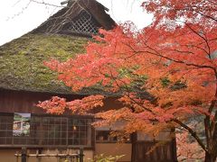 まだまだ綺麗な木々がたくさんありました。
道中、雨が強く降っている箇所もありましたが、到着すると止んで傘なしで散策。