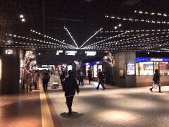 ご飯を食べたら東京へ戻ります
天神駅地下街に入ったら素敵なイルミネーションが飾られていてうっとり！
広い地下街でしたが、空港線の案内に沿って迷わずに改札まで行けました。