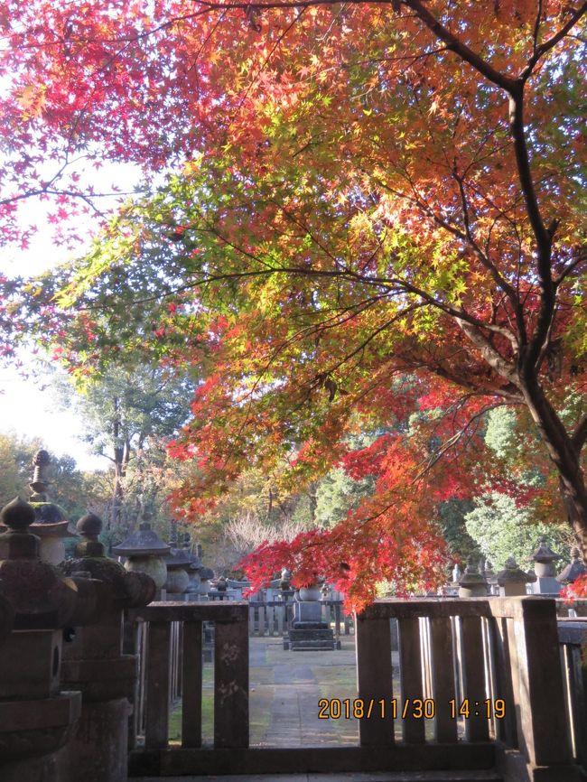 紅葉の平林寺を訪問しました③野火止塚～松平信綱公一族の墓所～山門～金鳳山迄