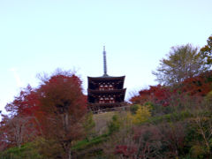 岡寺
坂がキツイ


