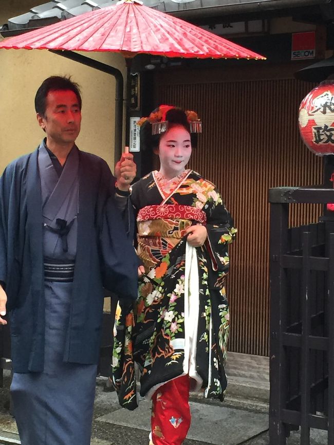 デビューしたてで各お店にあいさつにまわっているのかな？という感じで初々しいたたずまいでした