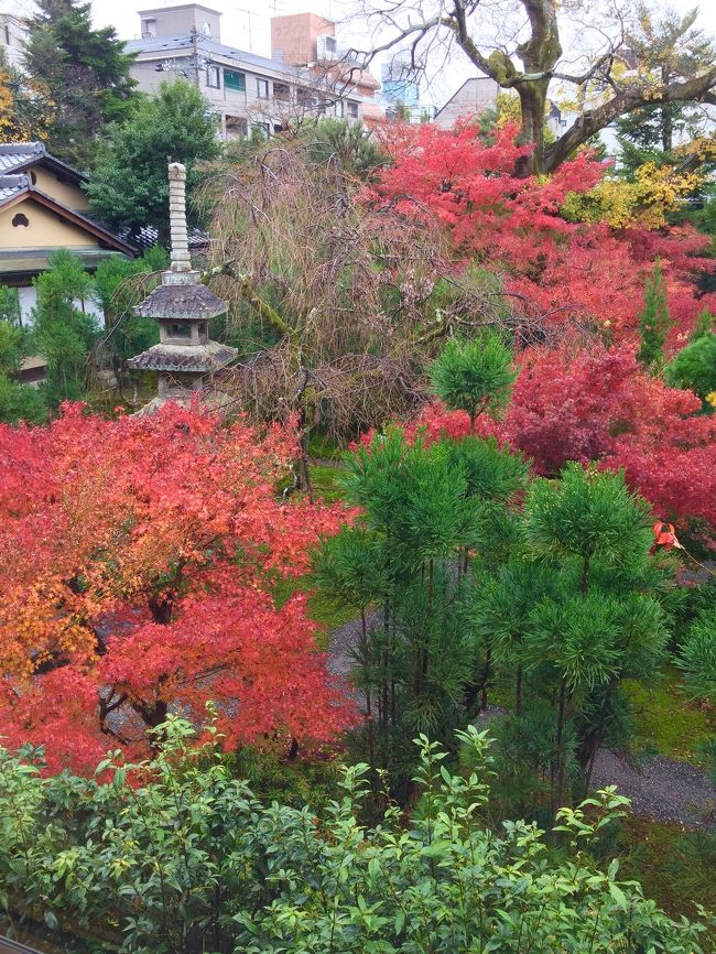 フォーエバー美術館の中庭の紅葉も素敵でした。