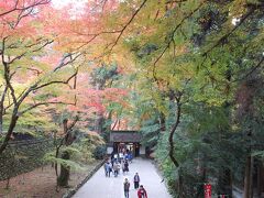 香積寺からの景色
まだ青い木々もあります。