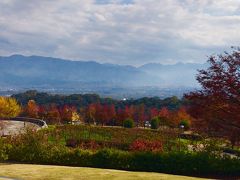 高台にあるので南アルプスの山々と甲府盆地が望め、
公園内の木々は赤や黄色に美しく紅葉していました。

昇仙峡のように紅葉の名所ではないので、
日曜日の11時頃でも無料の駐車場には空車があり、
サクッと紅葉散策がしたい人にぴったりです。